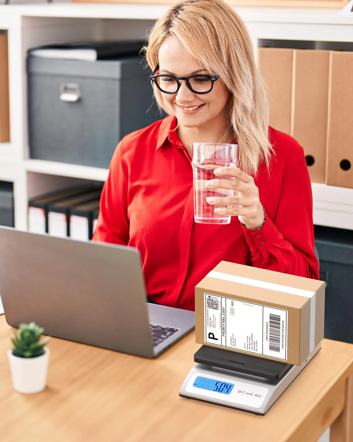 IPS01 Shipping Scale - Image 9