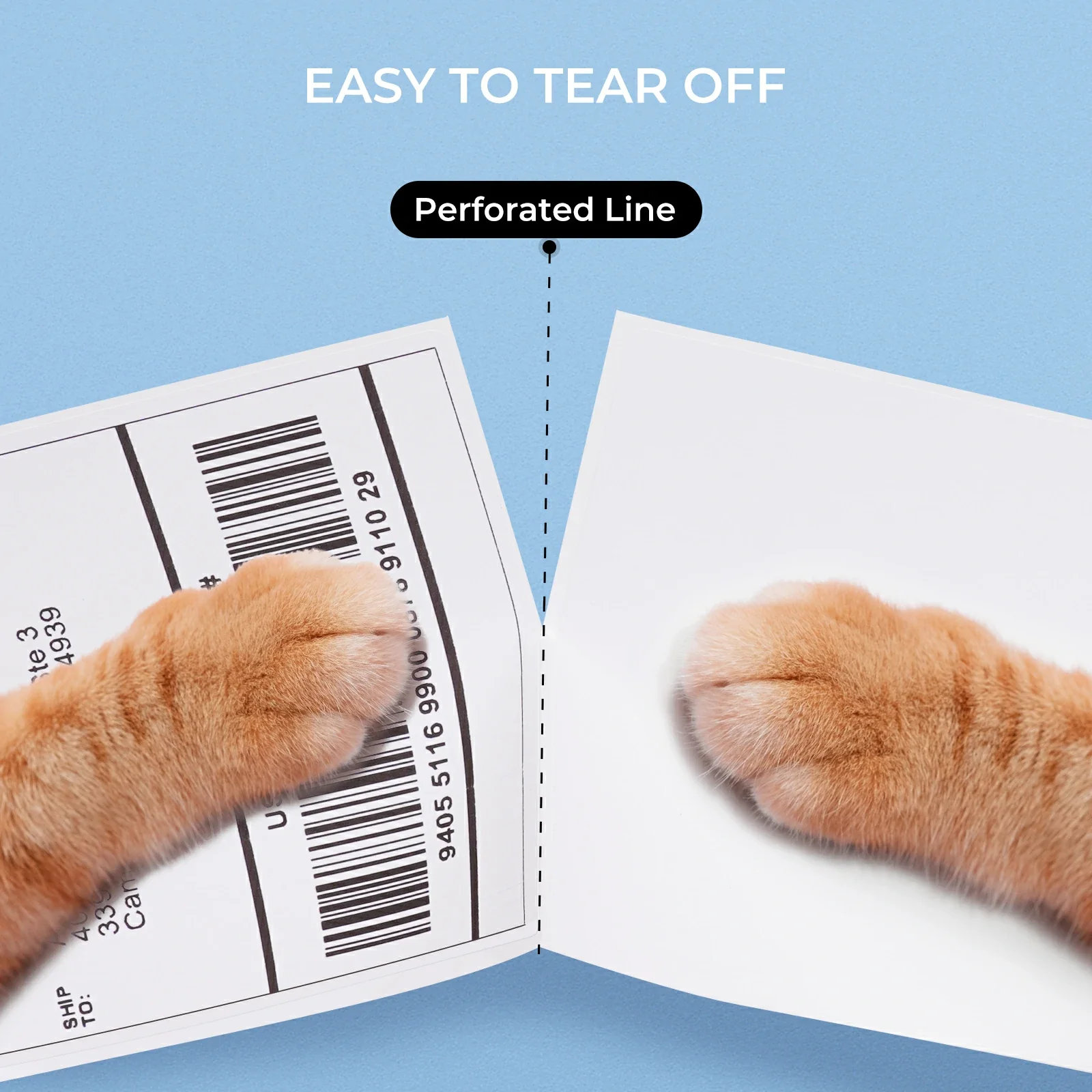 Got Free 129B Thermal Printer - Image 3